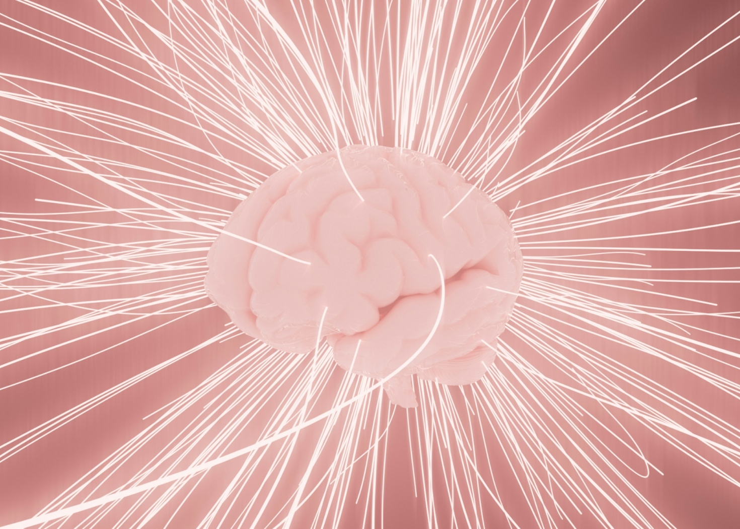 Brain Facts image